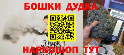 стаф Новодвинск