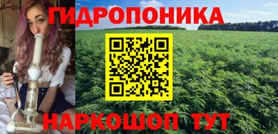 МДПВ Новокубанск